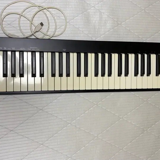 [BUNJANG] Nektar Impact GX61 61-Key MIDI Controller Keyboard / 넥타 임팩트GX61 nektar gx61