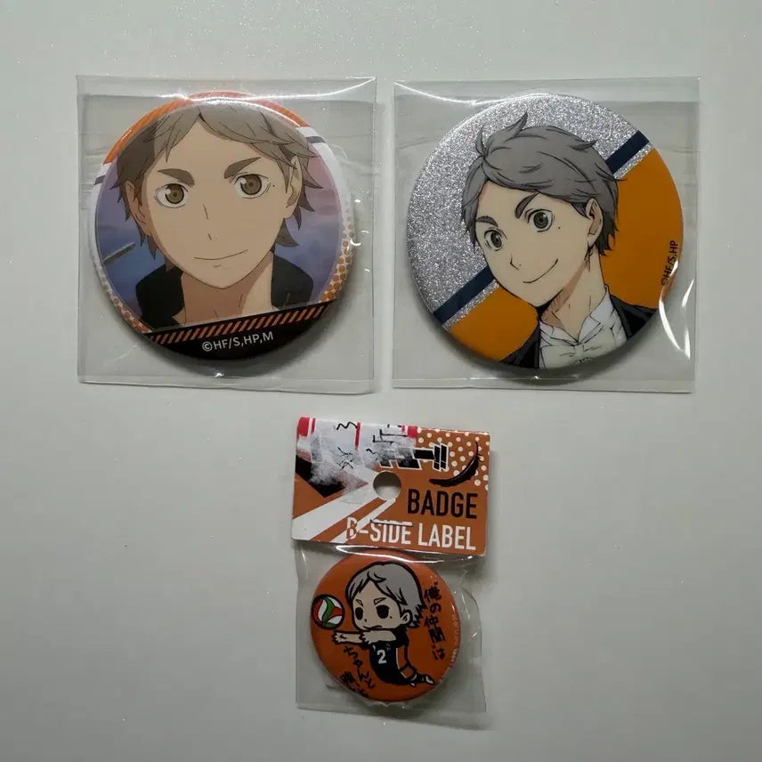 [BUNJANG] Haikyuu!! Sugawara Koushi Can Badge Set / 하이큐 스가와라 캔뱃지 세트
