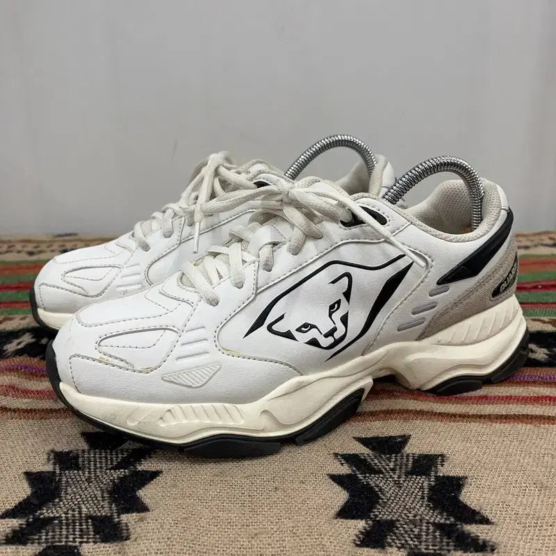 [BUNJANG] Dynafit Quartz Lightning Sneakers 245 / 다이나핏 쿼츠 라이트닝 운동화 245 X02621