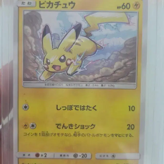 [BUNJANG] Pokemon Pikachu Promo Card / 포켓몬 카드 피카츄