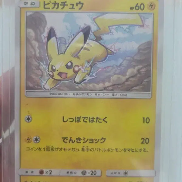 [BUNJANG] Pokemon Pikachu Promo Card / 포켓몬 카드 피카츄