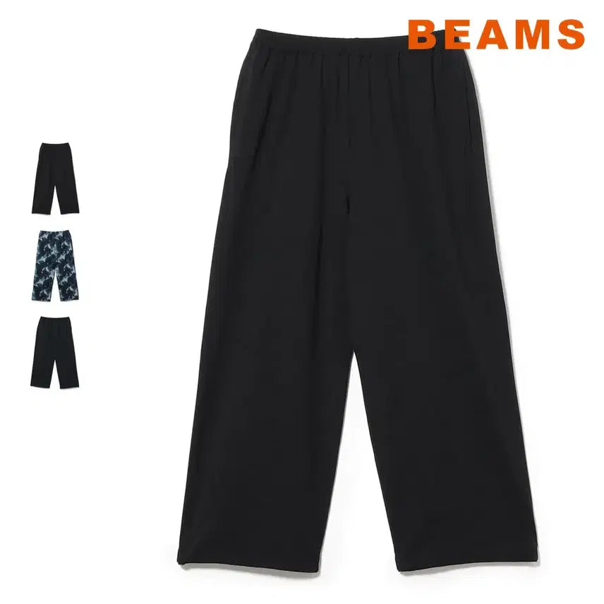 [BUNJANG] BEAMS Dynamic Dry UV Cut Easy Pants / 빔즈 다이나믹드라이 UV차단 이지 팬츠