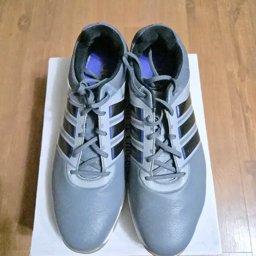 [BUNJANG] Adidas Golf Shoes Size 265mm / 아디다스 골프화 265
