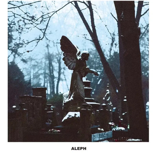 [BUNJANG] Aleph Renaissance + Requiem (2nd Edition) Pre-order Book / [사전예약] 알레프 - 르네상스+레퀴엠 (2nd)