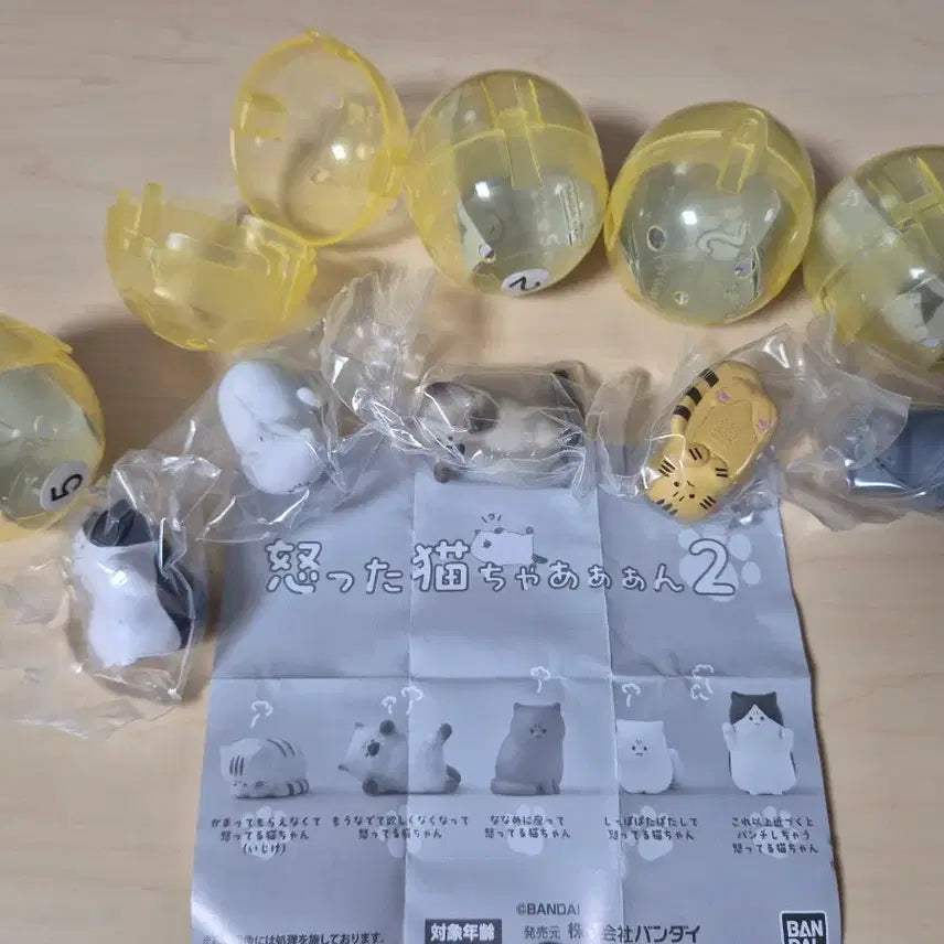 [BUNJANG] Angry Cat Chaa! 2nd Edition Gacha Set (5 Types) / 가챠 화난 고양이 챠아아! 2탄 5종 세트