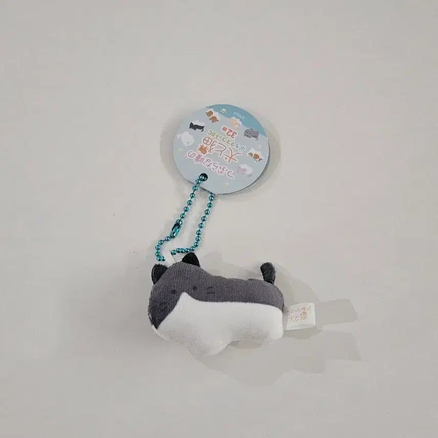[BUNJANG] Tsuburana Hitomi Dog and Cat Series Mini Plush Keychain / 미사용 새제품) 츠부라나 히토미 개와 고양이 시리즈 미니 인형 키링