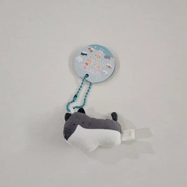 [BUNJANG] Tsuburana Hitomi Dog and Cat Series Mini Plush Keychain / 미사용 새제품) 츠부라나 히토미 개와 고양이 시리즈 미니 인형 키링