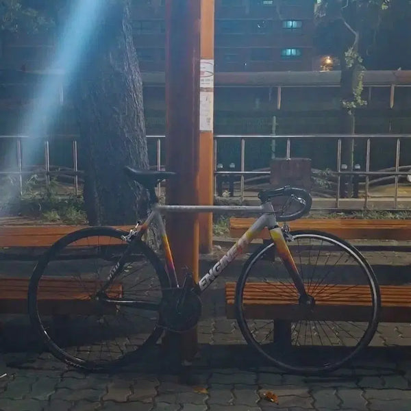 [BUNJANG] Engine11 Deluxe Bicycle / 엔진11 디럭스 판/대