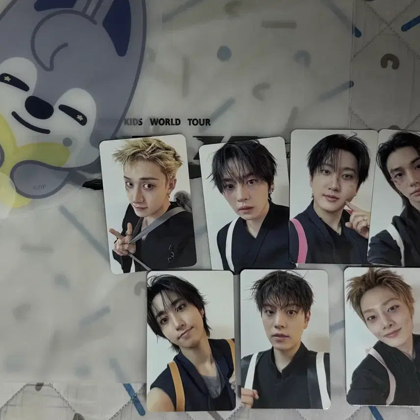 [BUNJANG] Stray Kids Bang Chan Wolf Chan Lucky Draw Photocard / 스트레이키즈 스키즈 런잇 첫콘 7/26 입장 기프트 포카 양도 울프찬 방찬