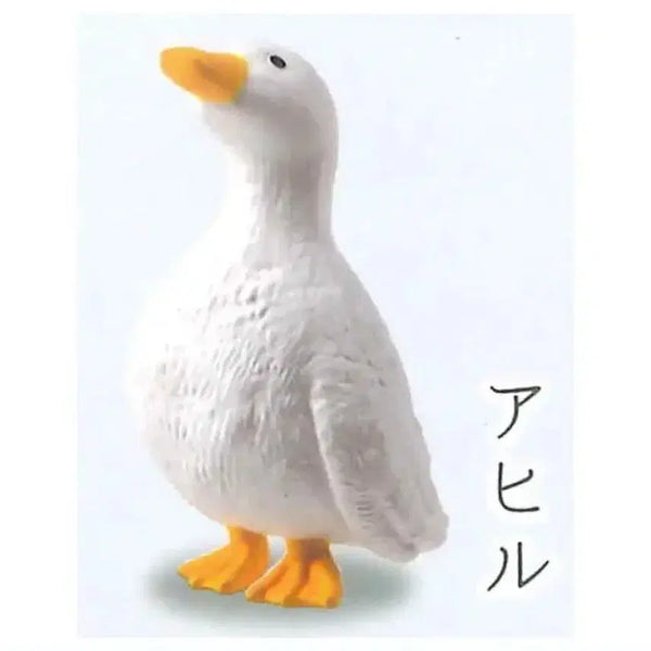 [BUNJANG] YELL Huhmoodongmul Gacha Duck / YELL 옐 허무동물 가챠 오리