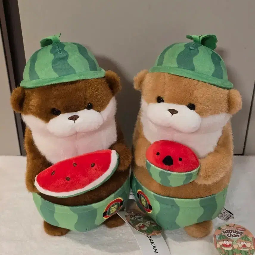 [BUNJANG] Daldal Subak Uso Uso Jjang 27cm Set / 달달수박 우소우소짱 27cm 세트