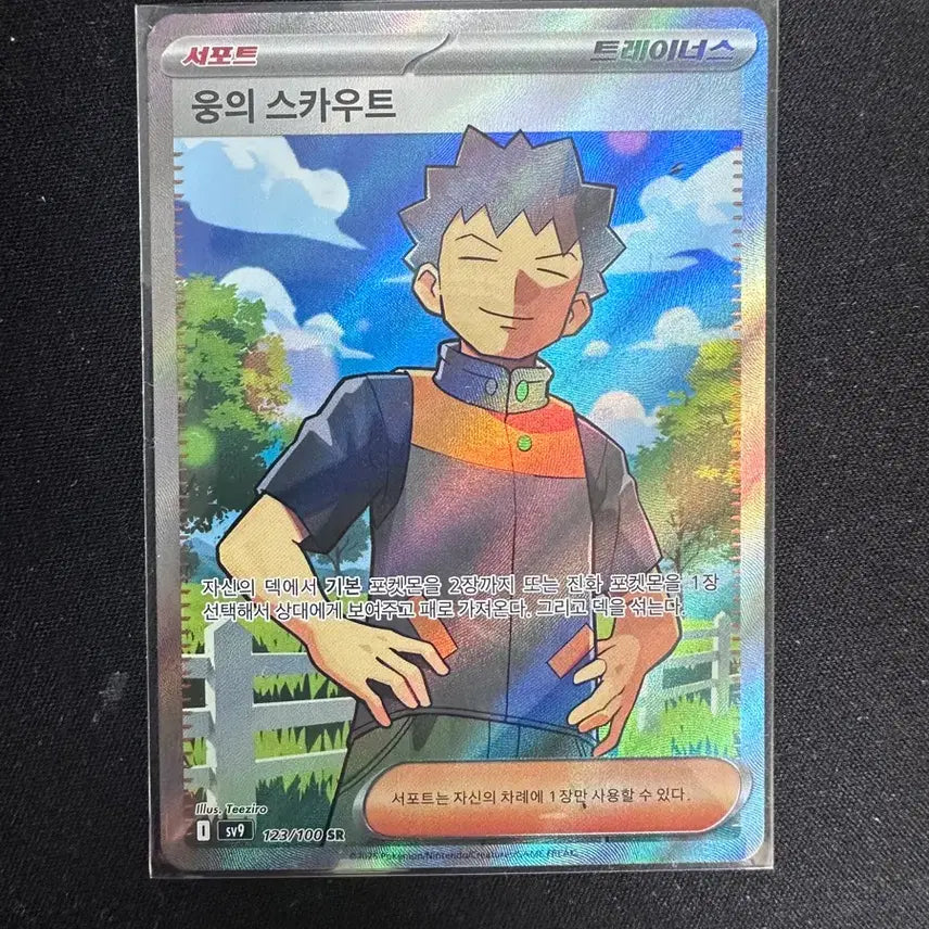 [BUNJANG] Pokemon Card Young's Scout SR / 포켓몬 카드 웅의 스카우트 SR