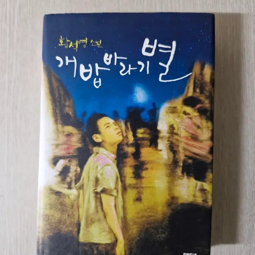 [BUNJANG] Gae-bab-baragi-byeol Novel by Hwang Sok-yong / 황석영 작가의 소설 개밥바라기 별