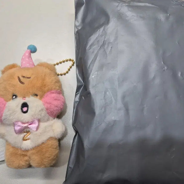 [BUNJANG] ZB1 ZEROSE Binini Sung Hanbin Doll / 제베원 제로니 비니니 성한빈 인형 양도 생일파티 판매 급처 처분