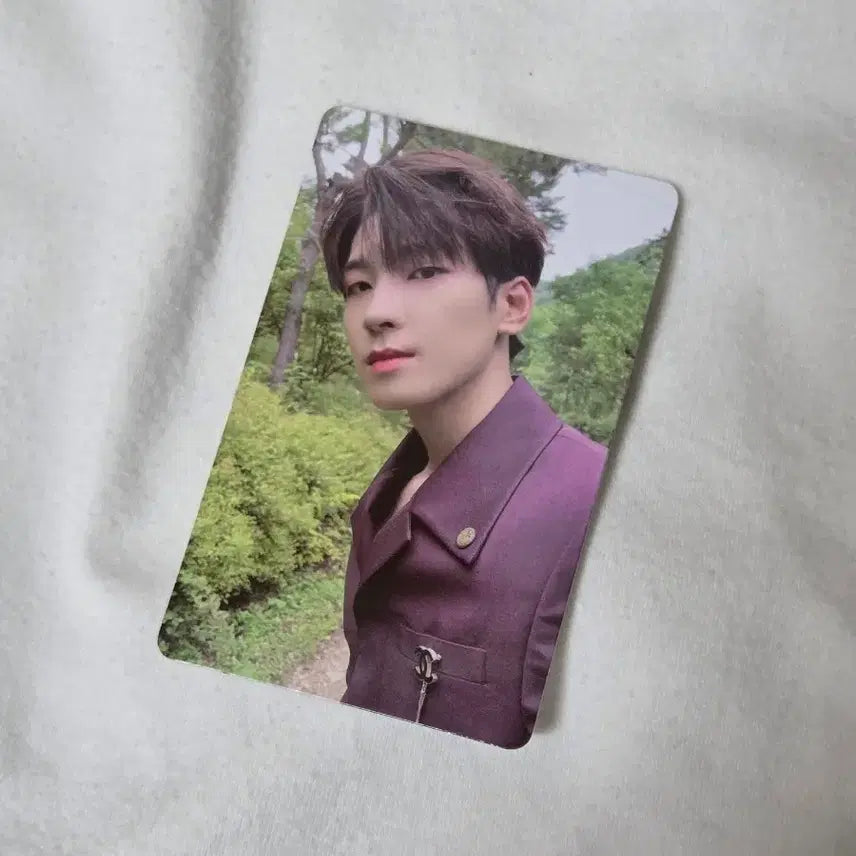 [BUNJANG] SEVENTEEN Wonwoo Social Club Photocard / (급처) 소셜클럽 세븐틴 원우 포토카드