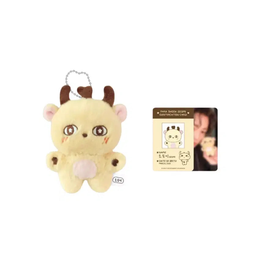 [BUNJANG] Park Ji Hoon So-sim Doll Photocard / 소심이 인형
