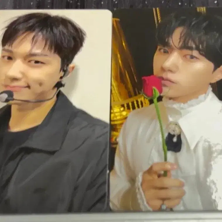 [BUNJANG] INFINITE L Kim Myungsoo Unchanged Fanconcert Photocard Bundle Set / 김명수 팬콘서트 포카 일괄양도 인피니트 엘 언체인지드