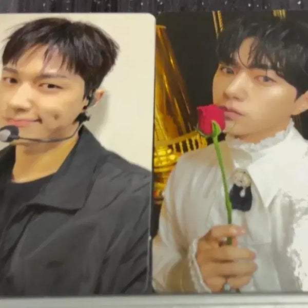 [BUNJANG] INFINITE L Kim Myungsoo Unchanged Fanconcert Photocard Bundle Set / 김명수 팬콘서트 포카 일괄양도 인피니트 엘 언체인지드