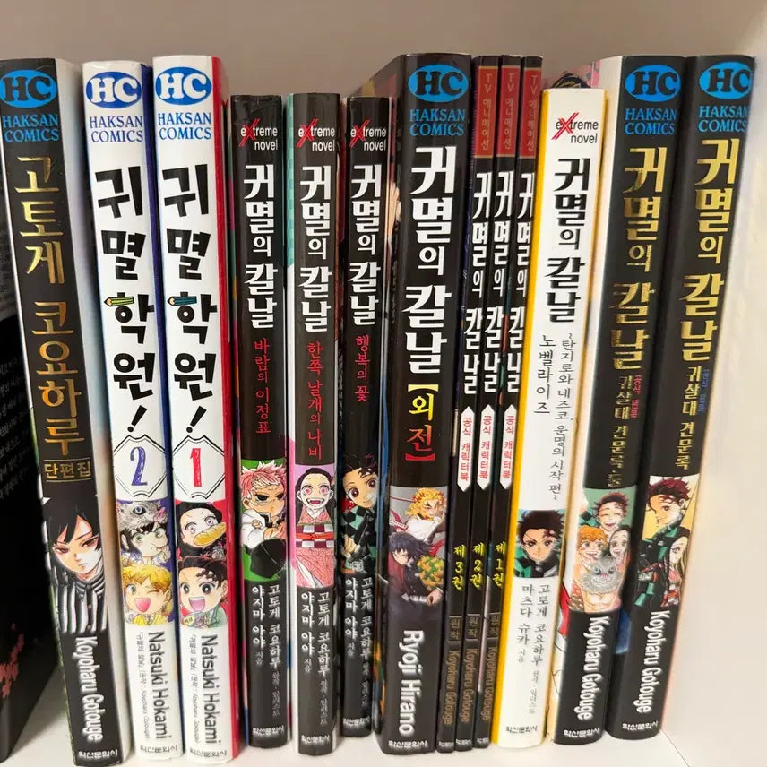 [BUNJANG] Demon Slayer Fan Books Collection / 귀멸의칼날 팬북 등등 판매