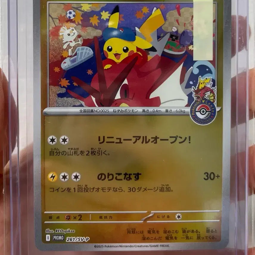 [BUNJANG] Hiroshima Pikachu Limited Edition Promo Card / 일판 히로시마 피카츄 한정판 프로모카드