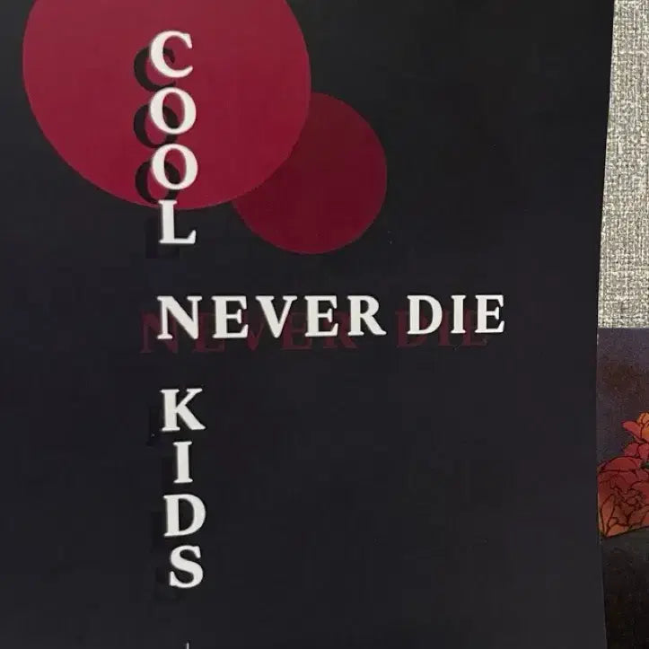 [BUNJANG] Cool Kid Never Die Photobook / 쿨 키드 네버다이 소장본 판매