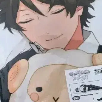 [BUNJANG] Ensemble Stars Midori Dakimakura / 앙스타 미도리 다키마쿠라