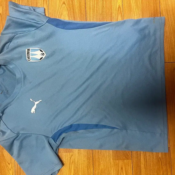 [BUNJANG] Cheonan City FC Puma Short Sleeve Training Top / 축구 프로구단 천안시티 반팔 트레이닝복