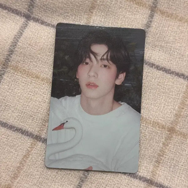 [BUNJANG] Starkissed Subin Weverse POB Photocard / starkissed 수빈 위버스 특전