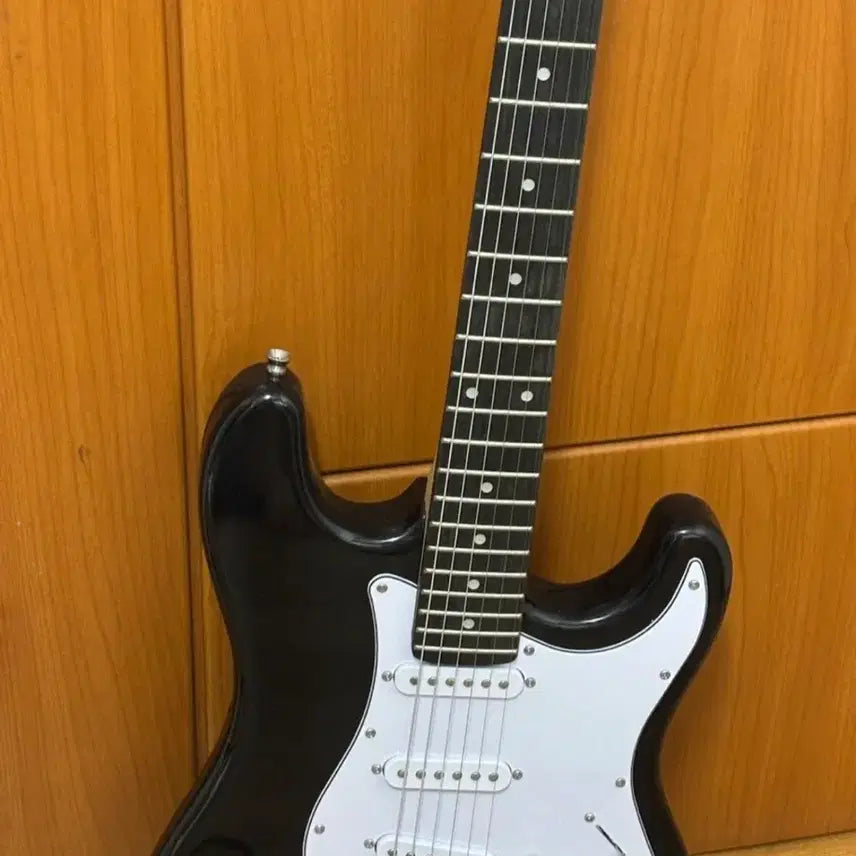 [BUNJANG] E.Penley Black Electric Guitar / 이펜리 블랙 일렉기타 판매