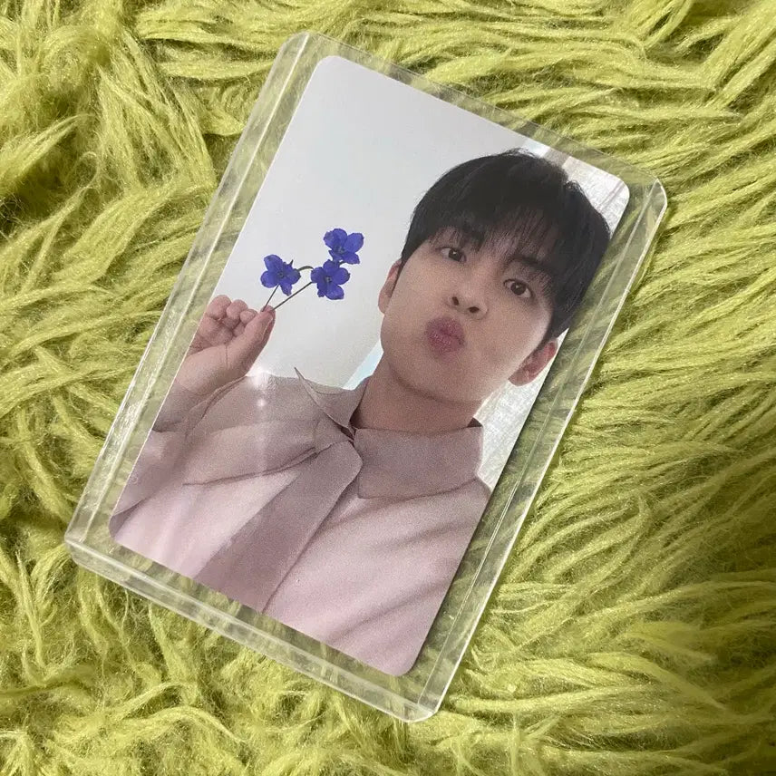 [BUNJANG] DAY6 Wonpil Forever Fansign POB Photocard / 데이식스 원필 포에버 집샵 예판 특전 미공포