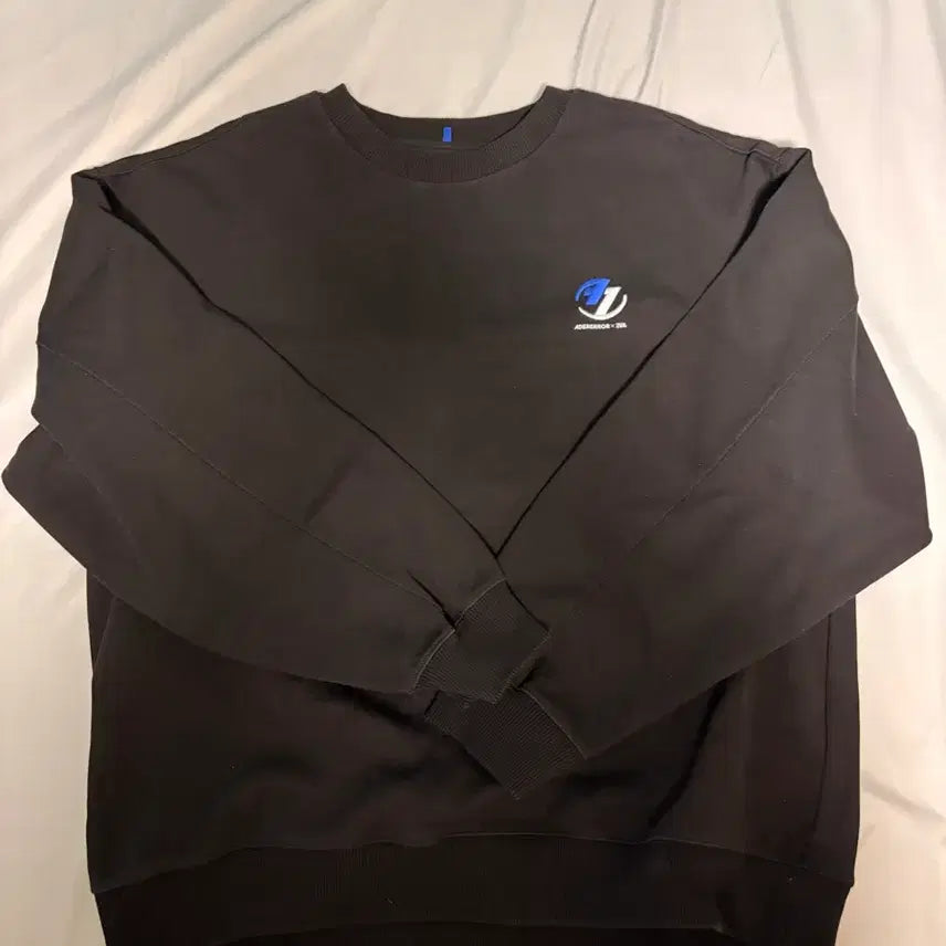 [BUNJANG] Zara x ADER Error Oversized Sweatshirt Black / [S-M] 자라 x 아더에러 오버사이즈 스웨트셔츠 블랙