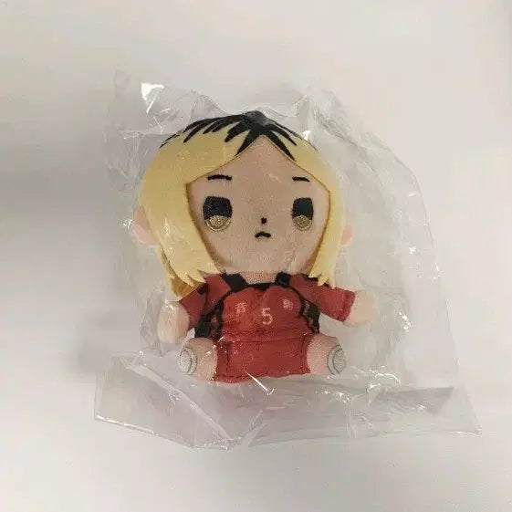 [BUNJANG] Haikyuu!! Kozume Kenma Plush Doll / 하이큐 코즈메 켄마 누이 인형