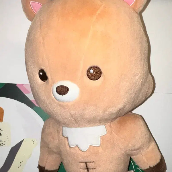 [BUNJANG] RIIZE Sungchan Urackbam 40cm Doll Liraz / 우락밤 40cm 인형 리라즈 양도 라이즈 성찬