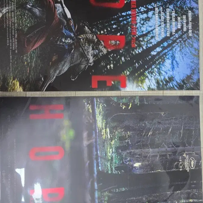 [BUNJANG] Na Hong-jin Film Early Bird Poster / 호프 광음시네마+얼리버드 포스터 나홍진 영화 굿즈