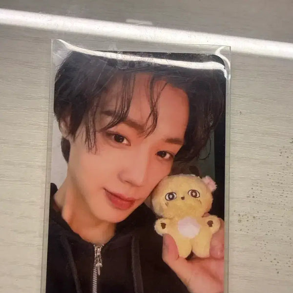 [BUNJANG] Park Ji Hoon 'Sosimi' Photocard / 박지훈 소심이 포카