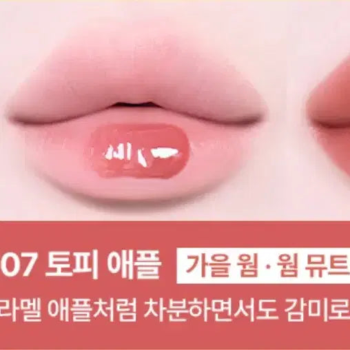 [BUNJANG] TipToe Glowit Sorbet Tint #107 Toffee Apple / 팁토우 글로윗 소르베 틴트 107 토피 애플
