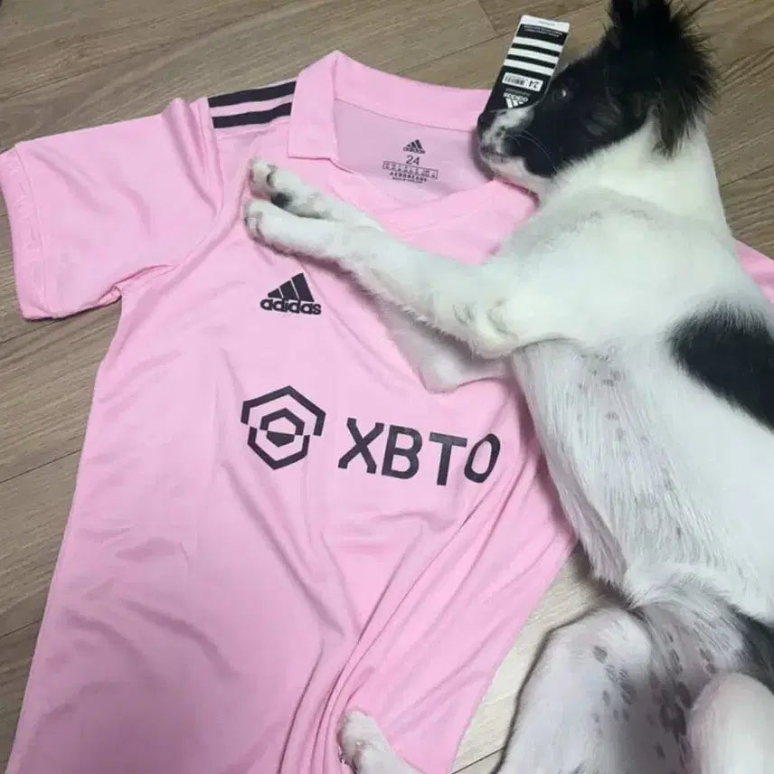 [BUNJANG] Inter Miami CF Lionel Messi 23/24 Home Replica Jersey (Strawberry Milk Pink) / 딸기우유 색감 아디다스 인터 마이애미 23/24 홈 메시 유니폼 레플리카 저지