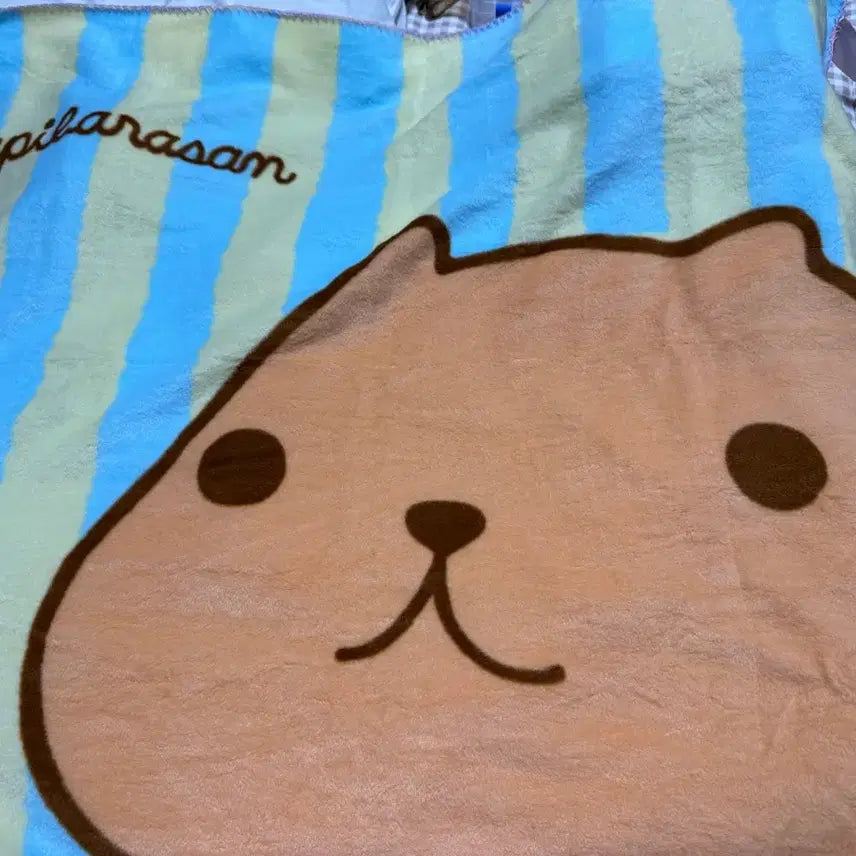 [BUNJANG] Capybara Blanket 80x90 / 카피바라 담요 사이즈 80x90