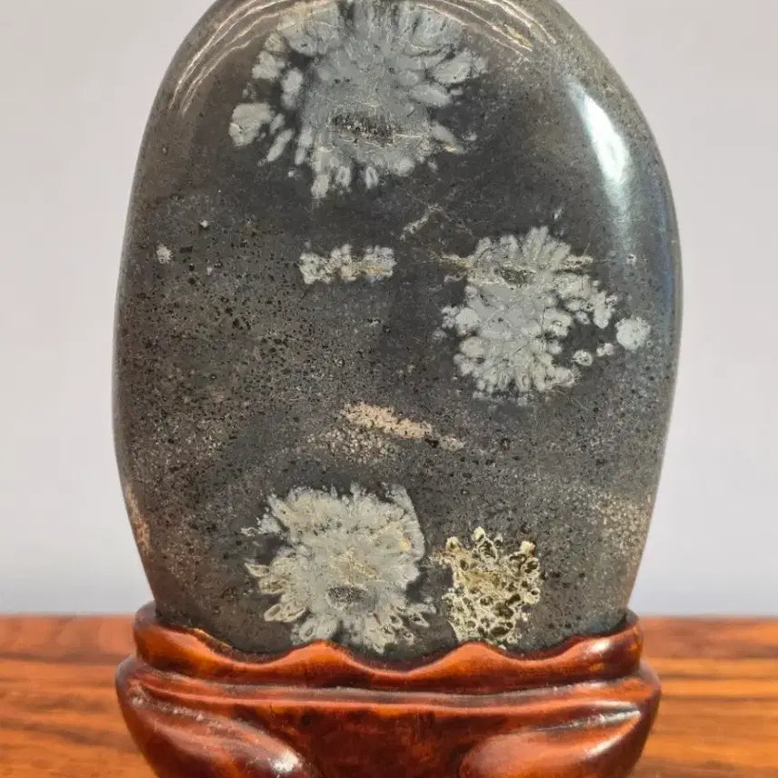[BUNJANG] Cheongsong Chrysanthemum Stone (Gukwahseok) Display Stone / 26072807 꽃이 활짝 핀 청송 국화석 꽃돌 수석 판매합니다