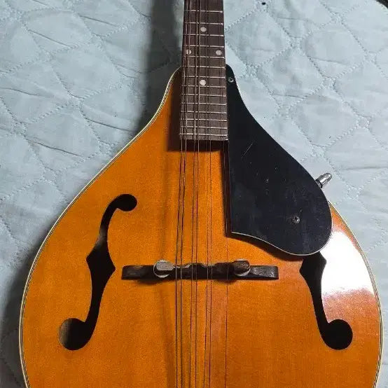 [BUNJANG] Midco International 8-String Mandolin / 만돌린 8현 악기