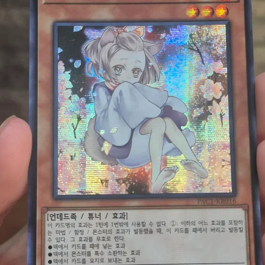 [BUNJANG] Yu-Gi-Oh! Ash Blossom & Joyous Spring Secret Rare / 유희왕 하루 우라라 신일러 시크