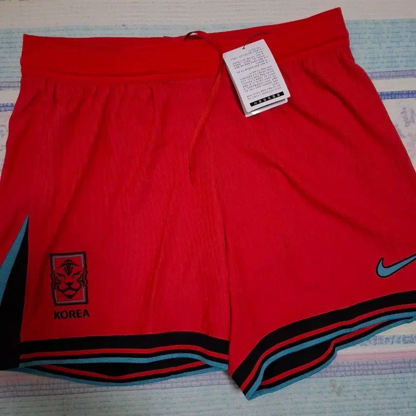 [BUNJANG] Nike National Team ADV Shorts / 나이키 국가대표 adv반바지