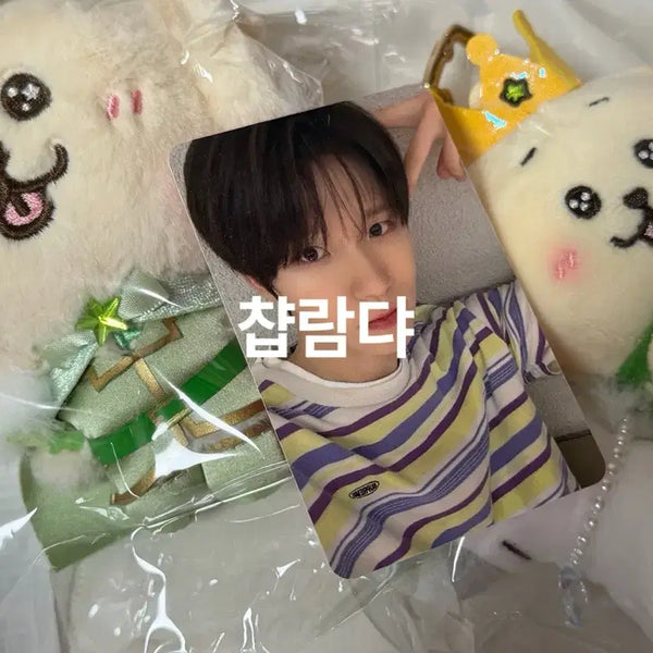 [BUNJANG] NCT WISH Prince Wish Doll & White Horse Wish Doll Bundle Set (Sealed) / 미개봉) 프린스 위시돌 댕트리버 + 백마 위시돌 댕트리버 세트