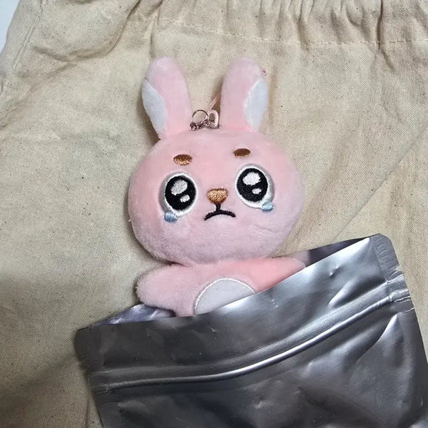 [BUNJANG] DAY6 Wonpil Secret Keyring Ppooeng / 데이식스 원필 시크릿키링 뿌엥