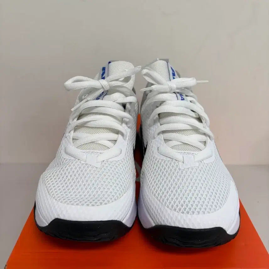 [BUNJANG] Nike Air Max Alpha Trainer 6 Sneakers (280) / [정품] 나이키 에어맥스 알파 트레이너6 운동화 280