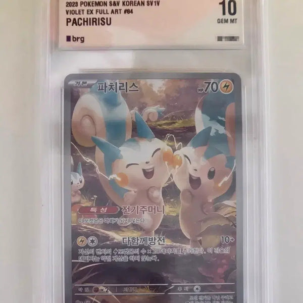 [BUNJANG] BRG10 Pachirisu AR / brg10 파치리스 ar