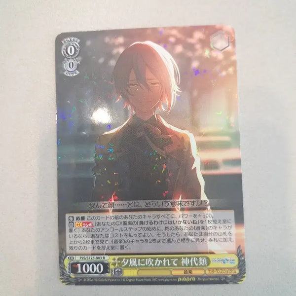 [BUNJANG] Kamishiro Rui 'What Kind of Ending Do You Want?' Rare Hologram Shvarts Card / 프세카 카미시로 루이 돈케츠 어떤 결말을 원하니 레어 홀로그램 슈발츠