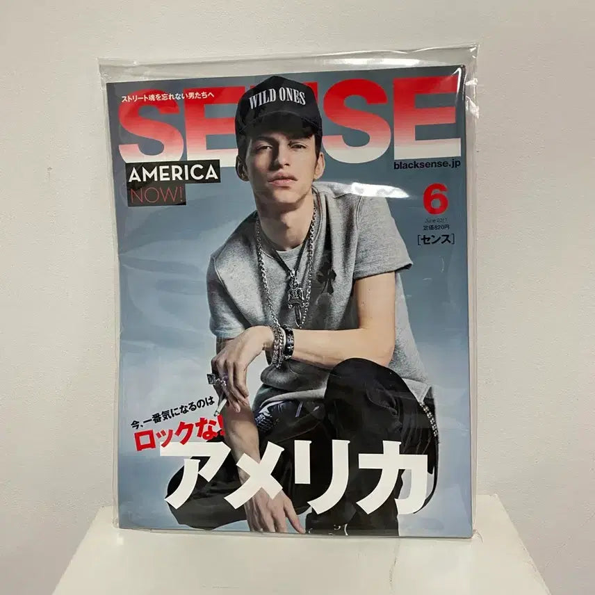[BUNJANG] Sense Magazine June 2017 Chrome Hearts Wacko Maria Rock Chic Japanese Men's Fashion Magazine / 센스매거진 2017년 6월 크롬하츠 와코마리아 락시크 일본잡지 패션잡지 남성잡지