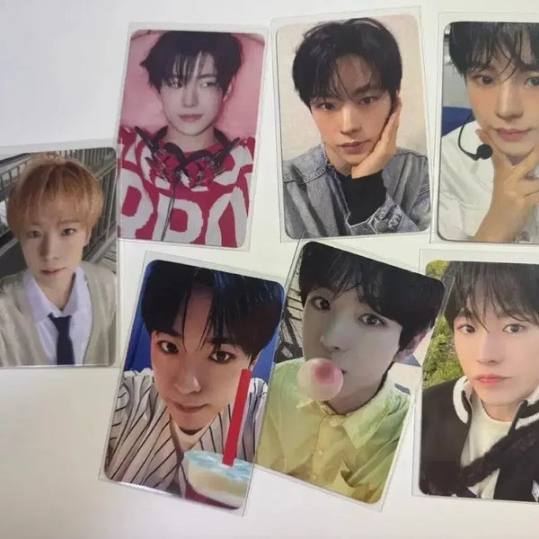 [BUNJANG] NCT WISH Yushi Songbird Steady Fanmeeting Photocard Bundle Set / 일괄) 엔시티 위시 nct wish 유우시 송버드 스테디 팬미팅 특전 입장 포카 양도