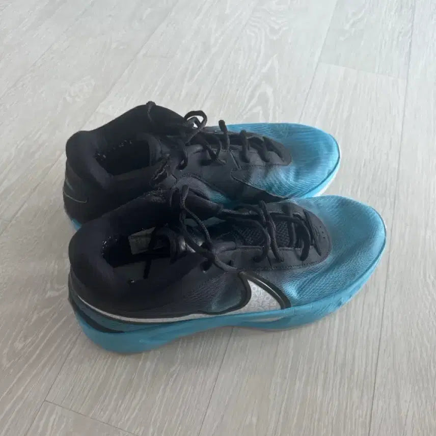 [BUNJANG] Zoom Freak 6 Basketball Shoes (Size 275) / 줌프릭6 275